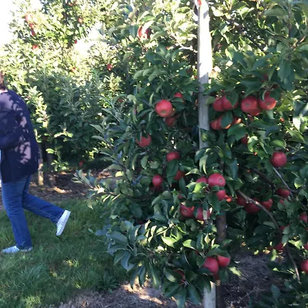Fabys Apartmán Hollern-Twielenfleth