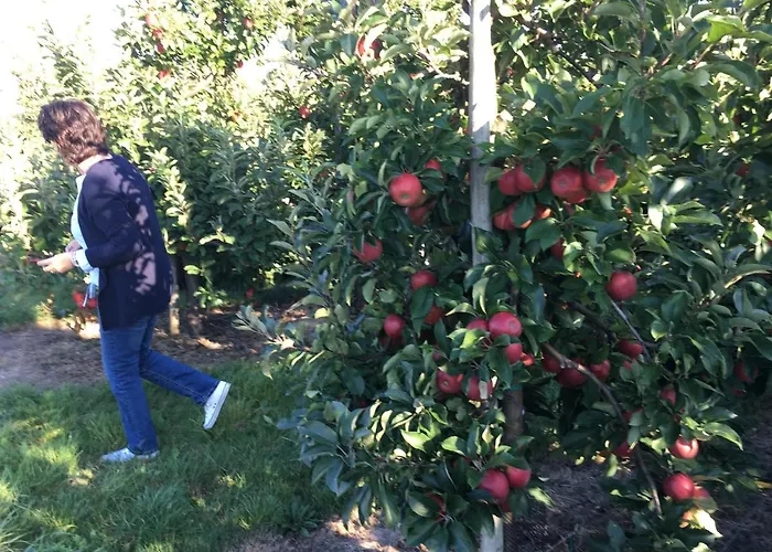 Fabys Apartamento Hollern-Twielenfleth
